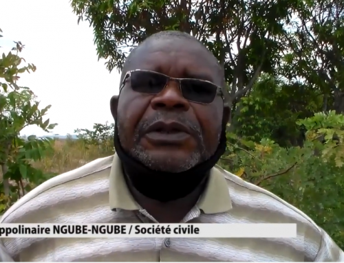 Spoliation du terrain de la Nécropole – avancement favorable